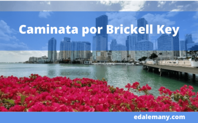 Caminata por Brickell Key